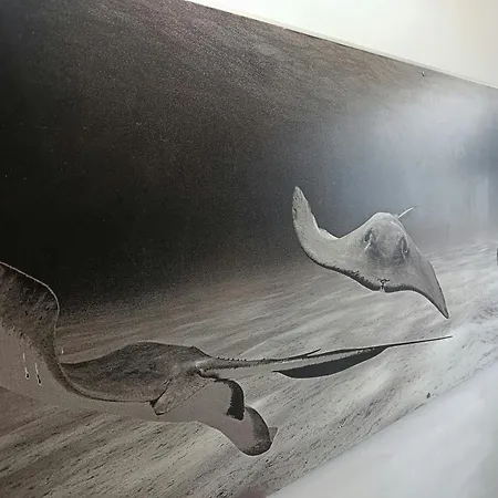 Wola Mirow 3 Apartamento